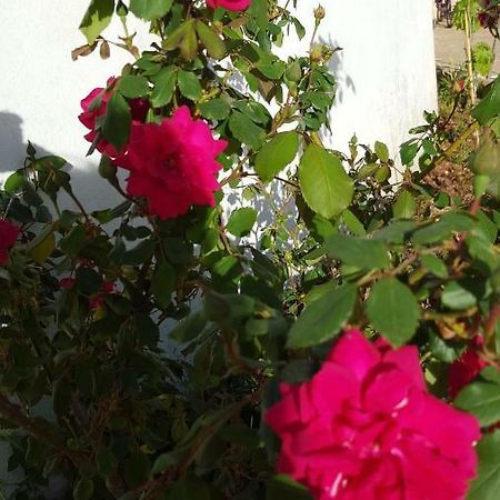 Giardini Di Lanzo Villa Martina Franca Bagian luar foto